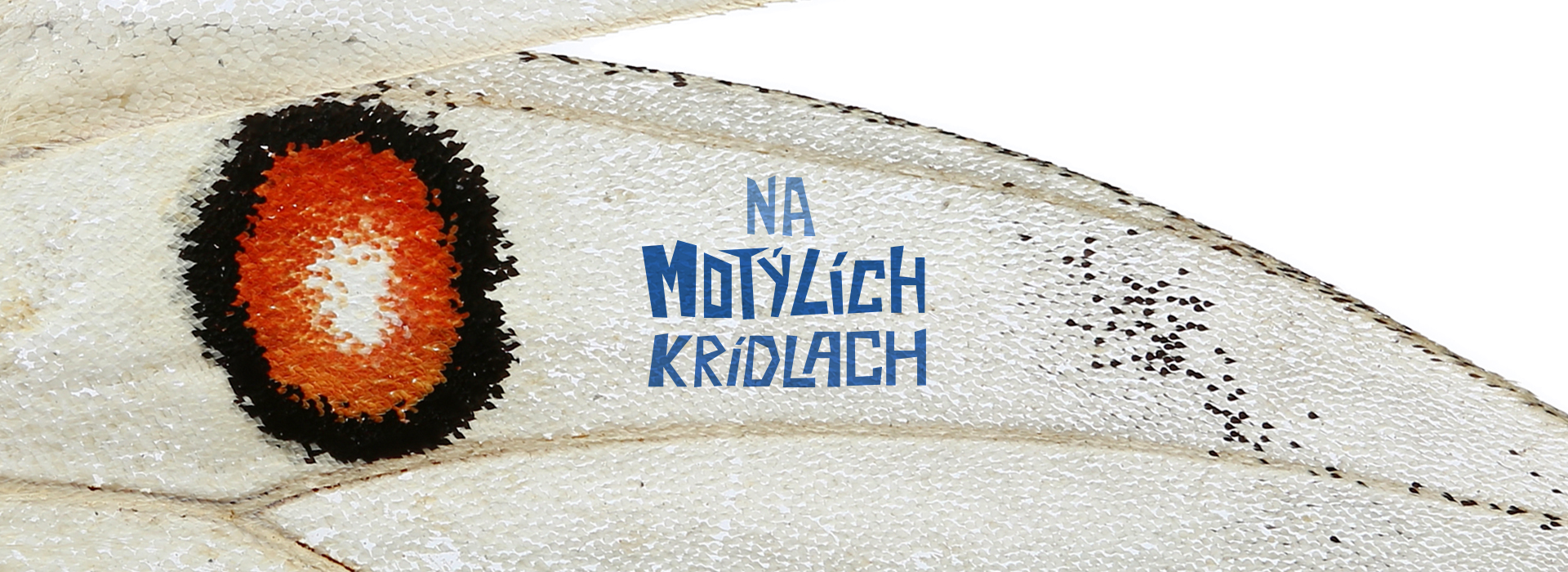 Na motýlích krídlach